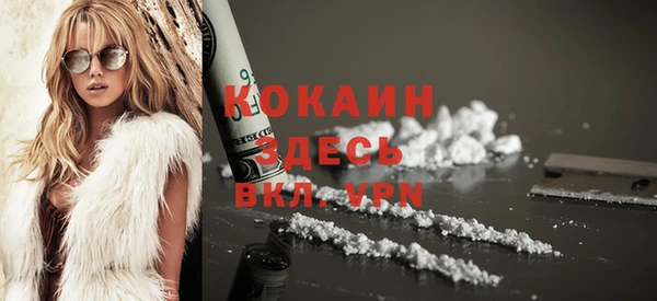 индика Новозыбков