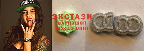 индика Новозыбков