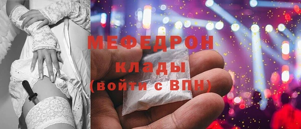 индика Новозыбков